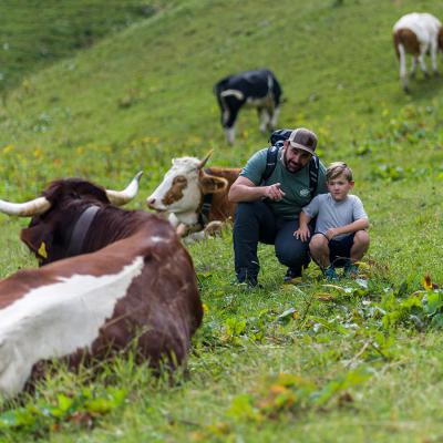 ©Zugspitzdorf Grainau Wehn 202